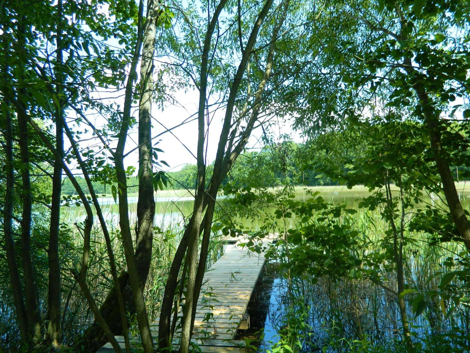 Siedlisko Agroturystyczne Villa Mrągowo Buitenkant foto